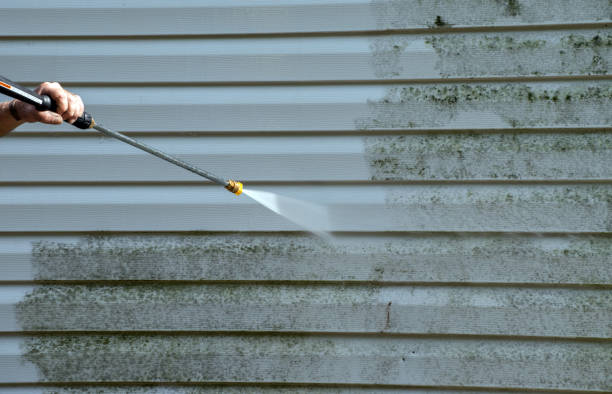 Best Affordable Power Washing  in Prosperity, WV