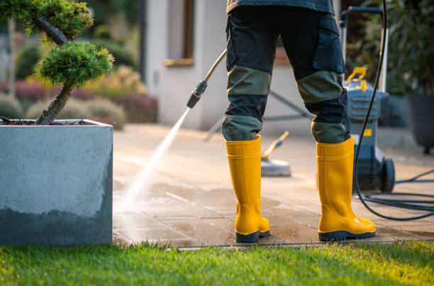 Best House Pressure Washing  in Prosperity, WV